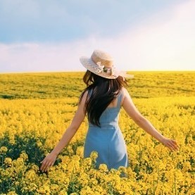 カバラ・タロット（生命の樹）